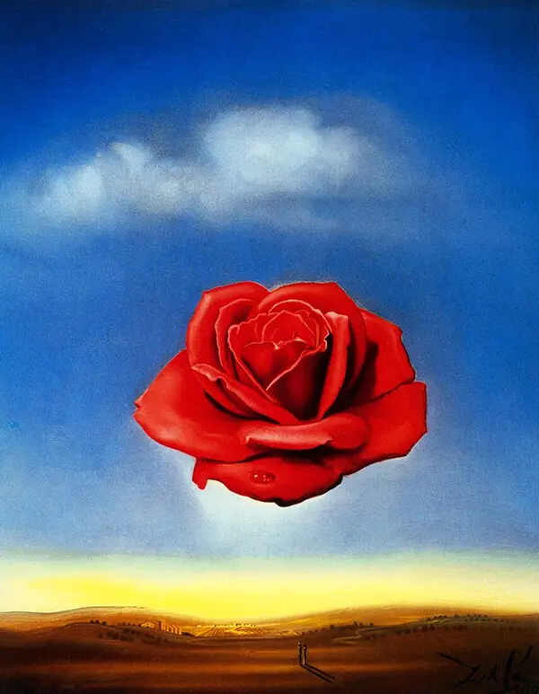 Rose méditative Salvador Dali